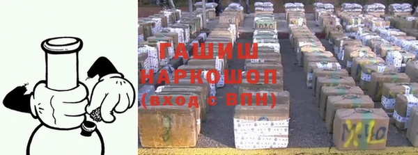 гашик Арсеньев