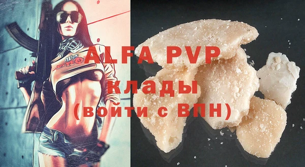 гашик Арсеньев