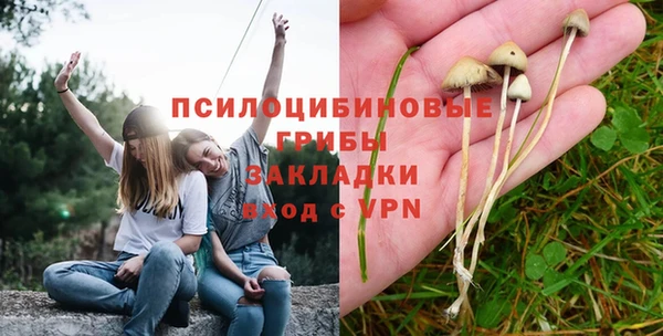 гашик Арсеньев