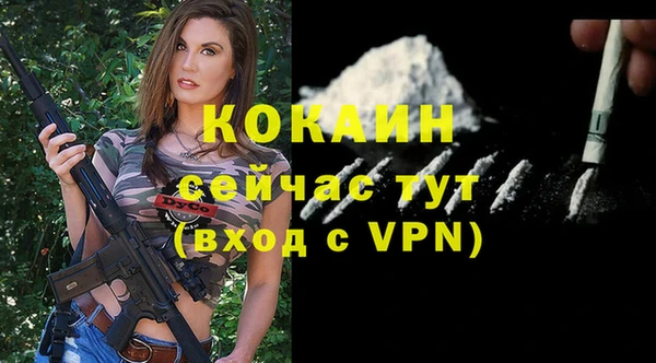 гашик Арсеньев