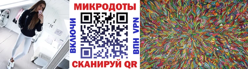 купить закладку  Ядрин  Псилоцибиновые грибы ЛСД 
